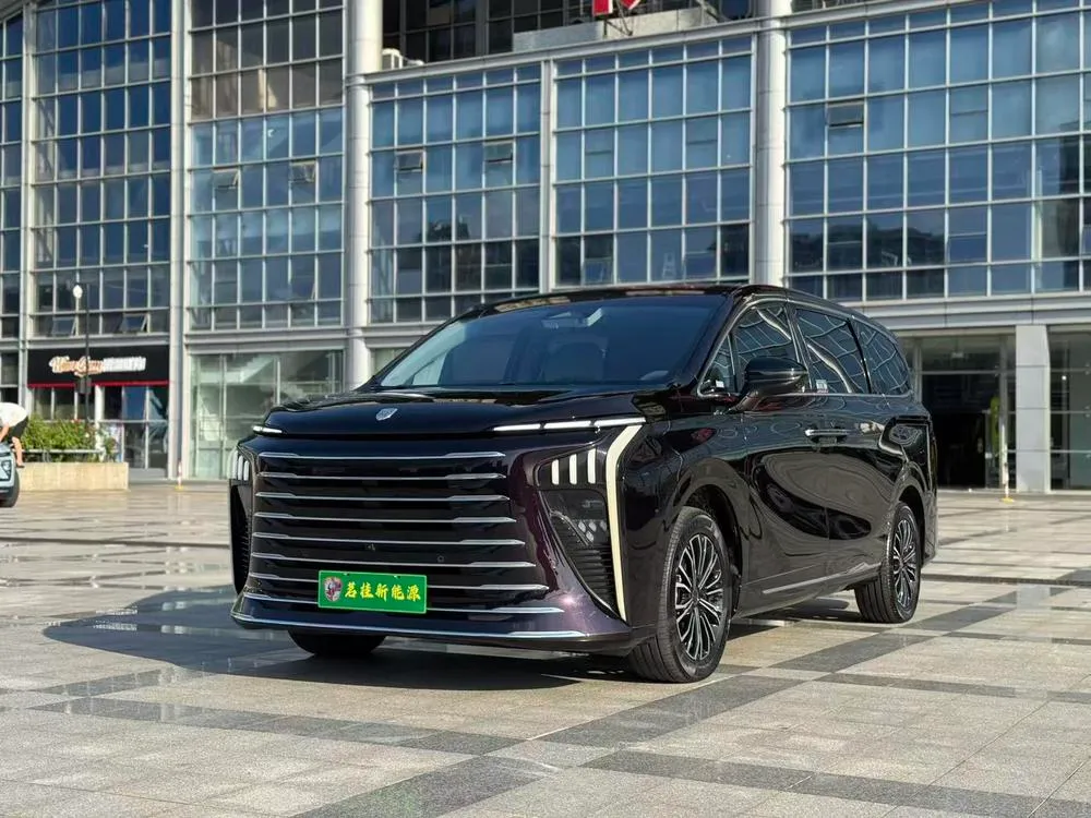 Dongfeng Fengxing Xinghai V9, 2024