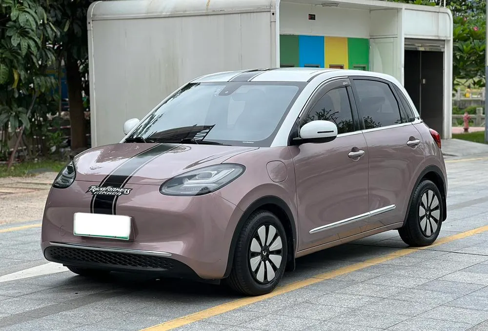 Wuling Bingo, 2023
