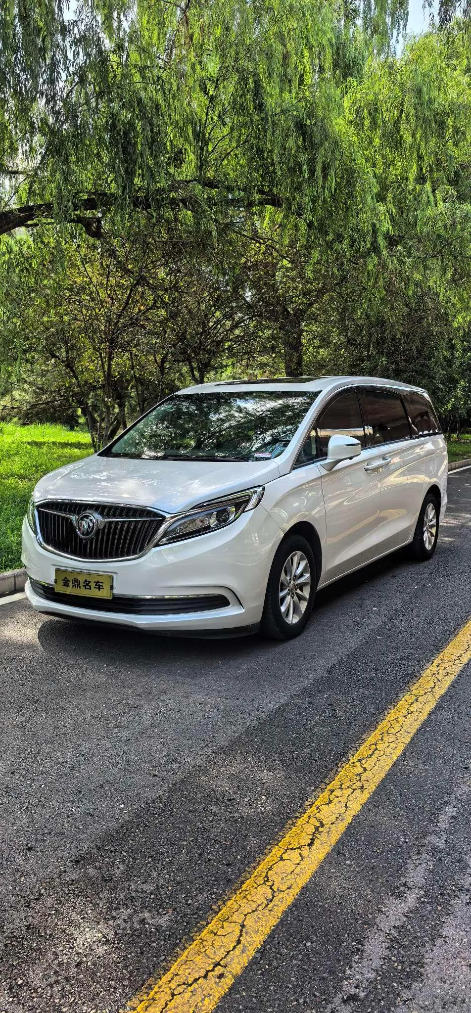 Buick GL8, 2017