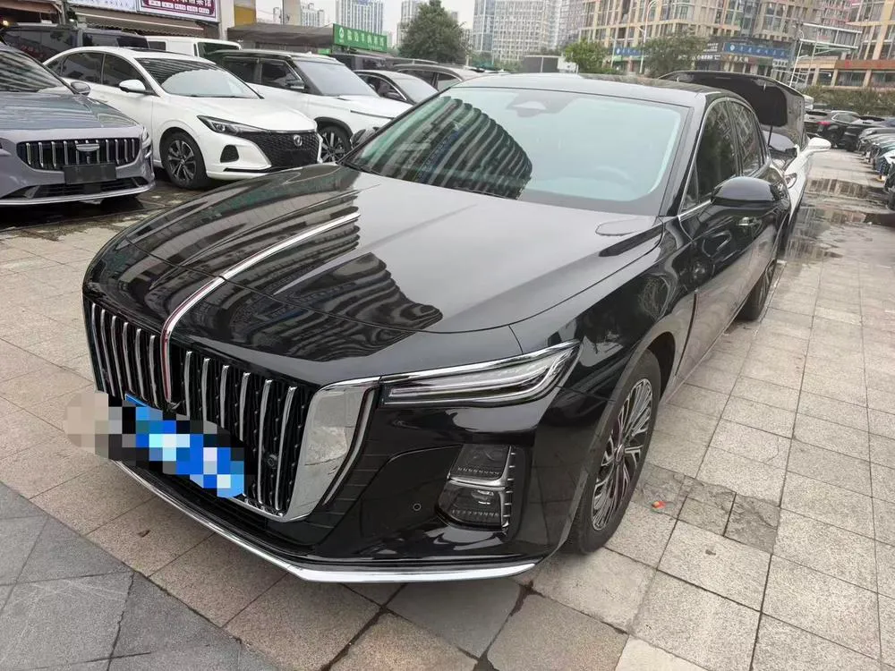 Hongqi H5, 2025