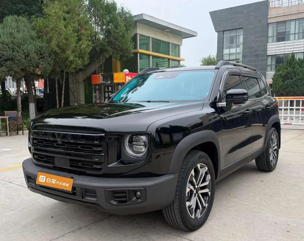 Haval Big Dog, 2024