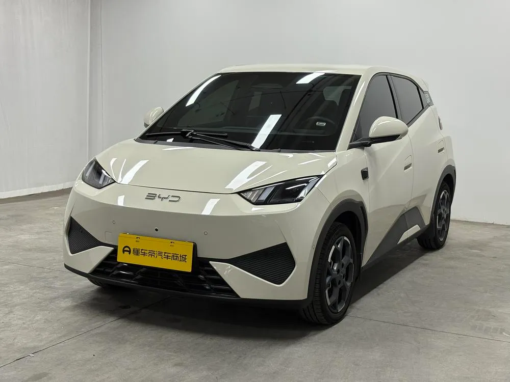 BYD Seagull, 2025
