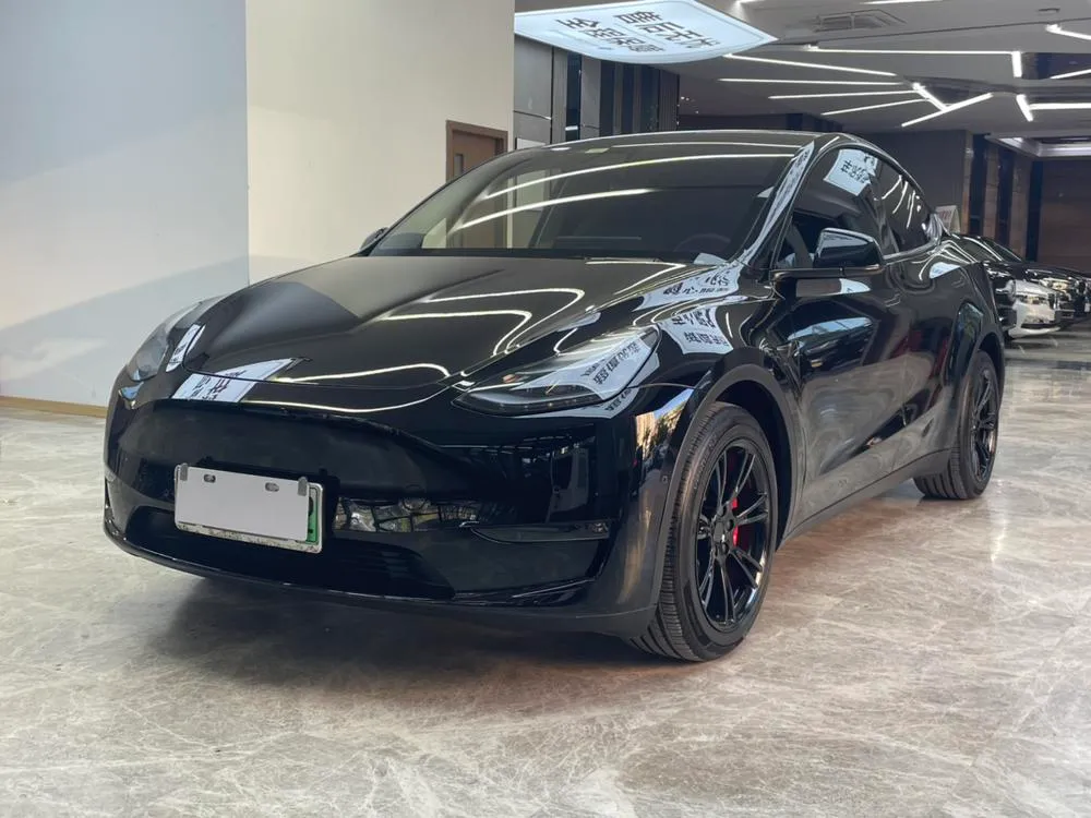 Tesla Model Y, 2021
