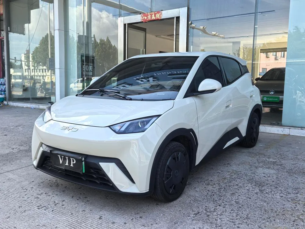 BYD Seagull, 2025