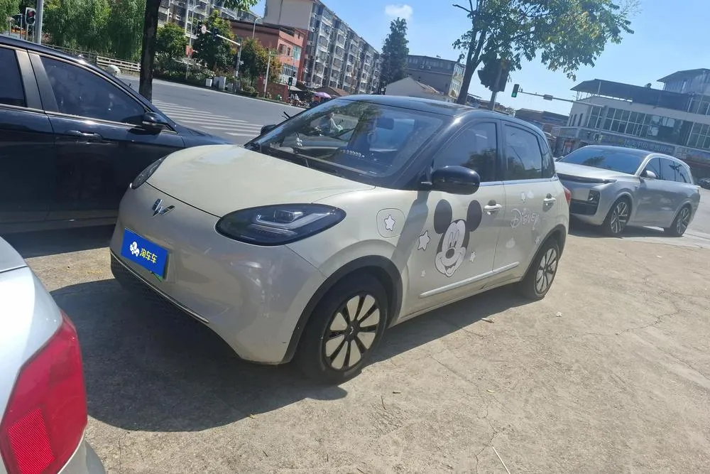 Wuling Bingo, 2024