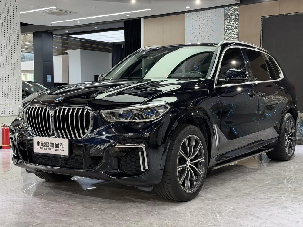 BMW X5 xDrive 30Li Prestige Version M Sport, 2022 — фото 1