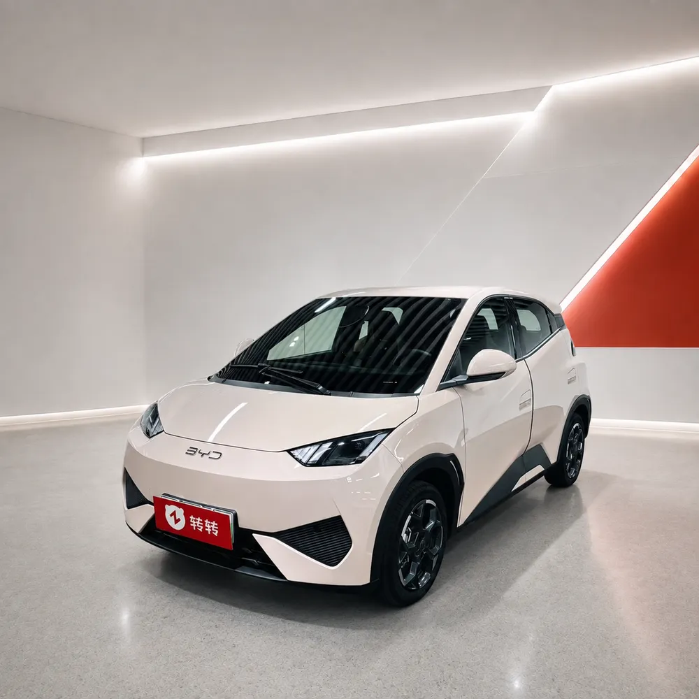 BYD Seagull, 2025