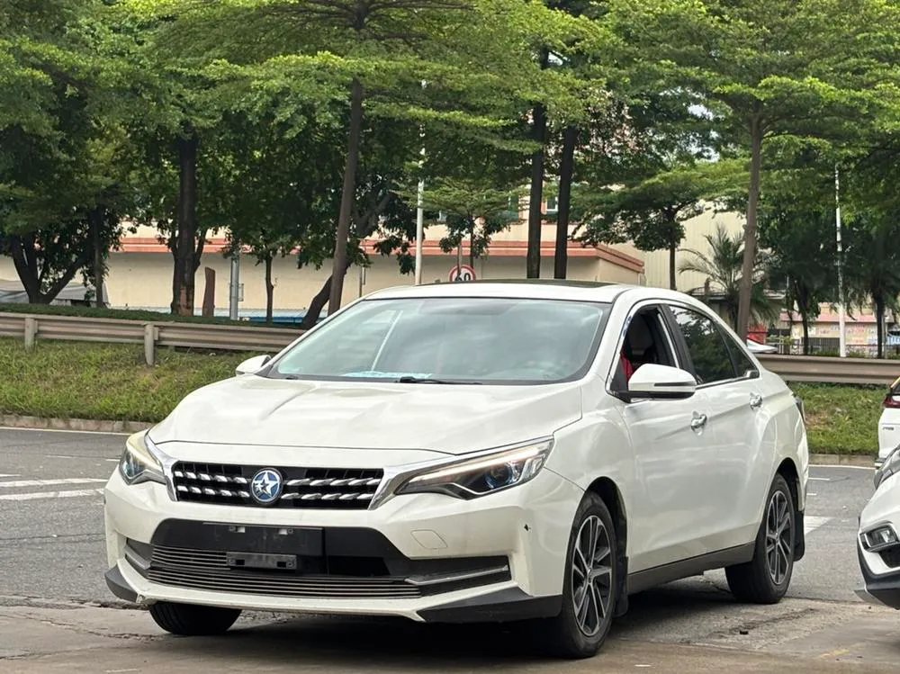Venucia D60, 2018