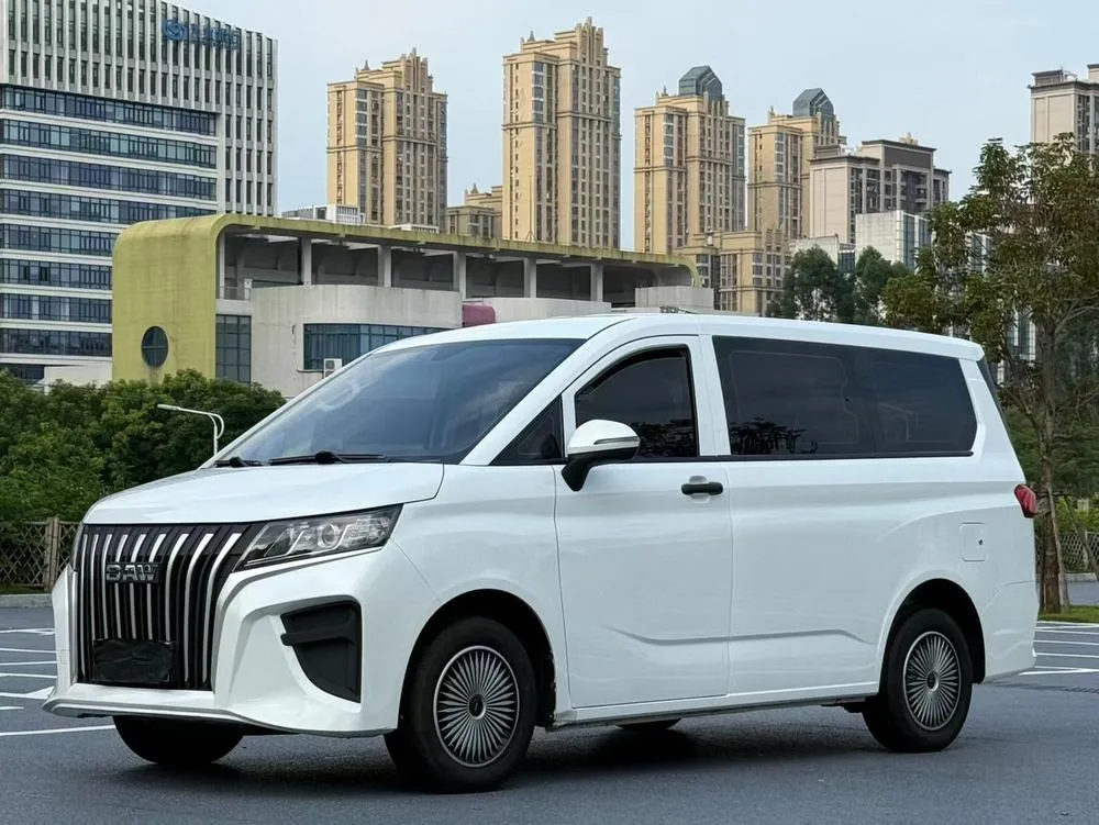 BAW Ruisheng Wangpai M7, 2023