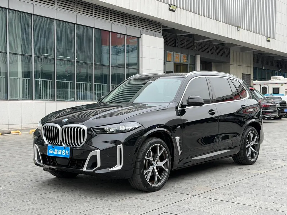 BMW X5 xDrive30Li M Sport, 2023 — фото 1