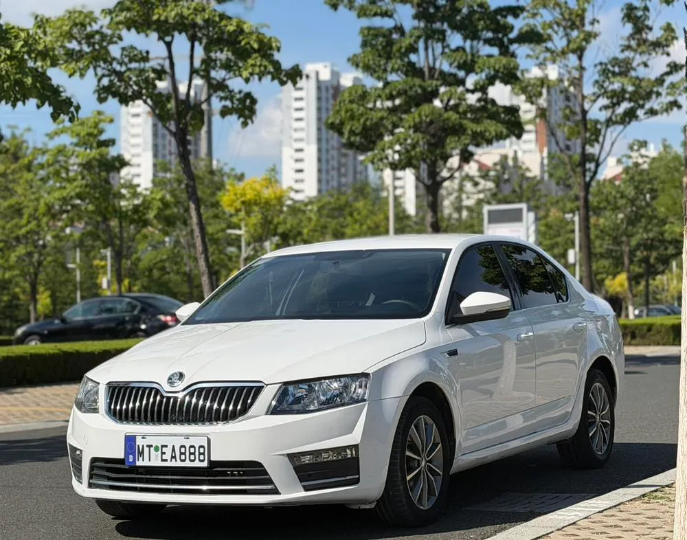 Skoda Octavia 1.6L Auto Edition, 2017 — фото 1