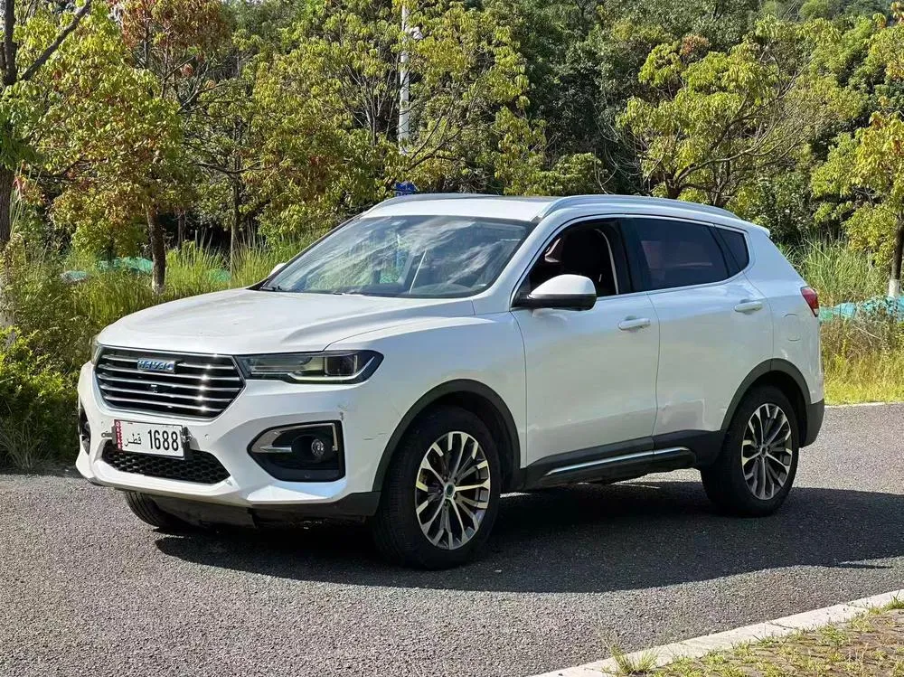 Haval H6, 2018
