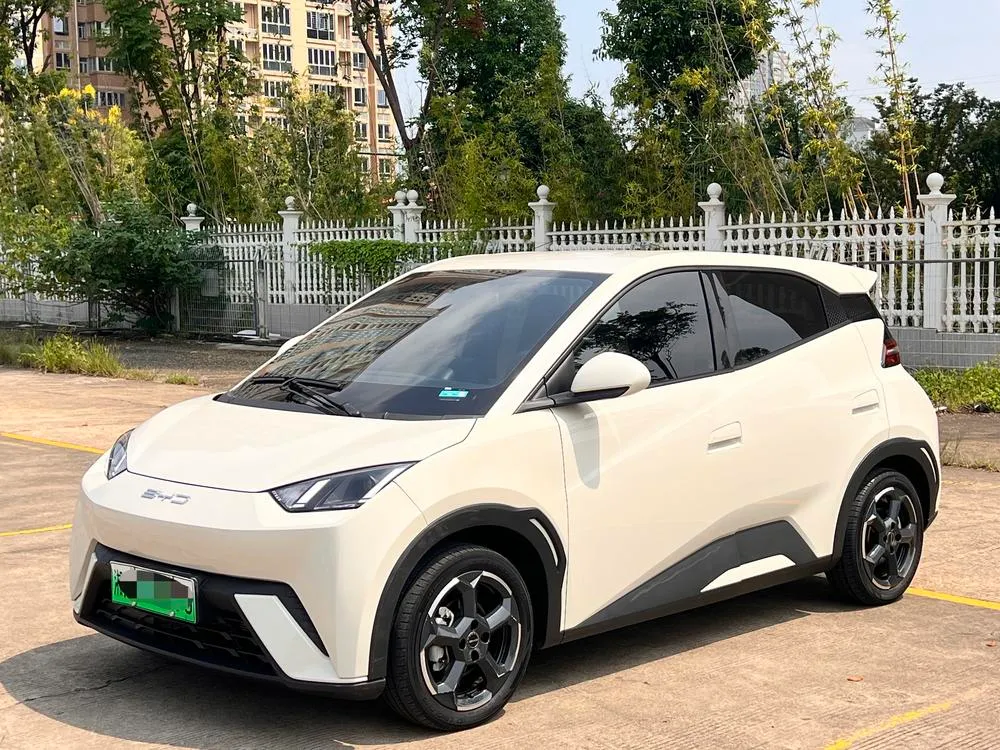BYD Seagull, 2023