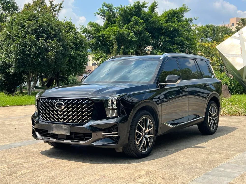 GAC Trumpchi Trumpchi GS8, 2022