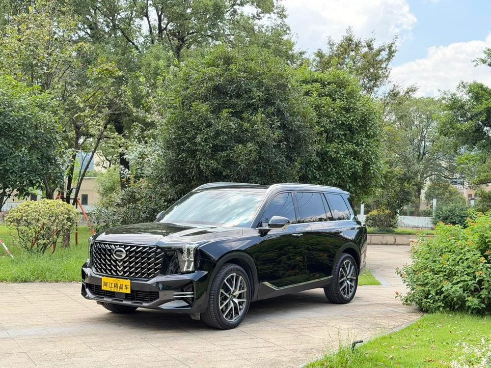 GAC Trumpchi Trumpchi GS8, 2022