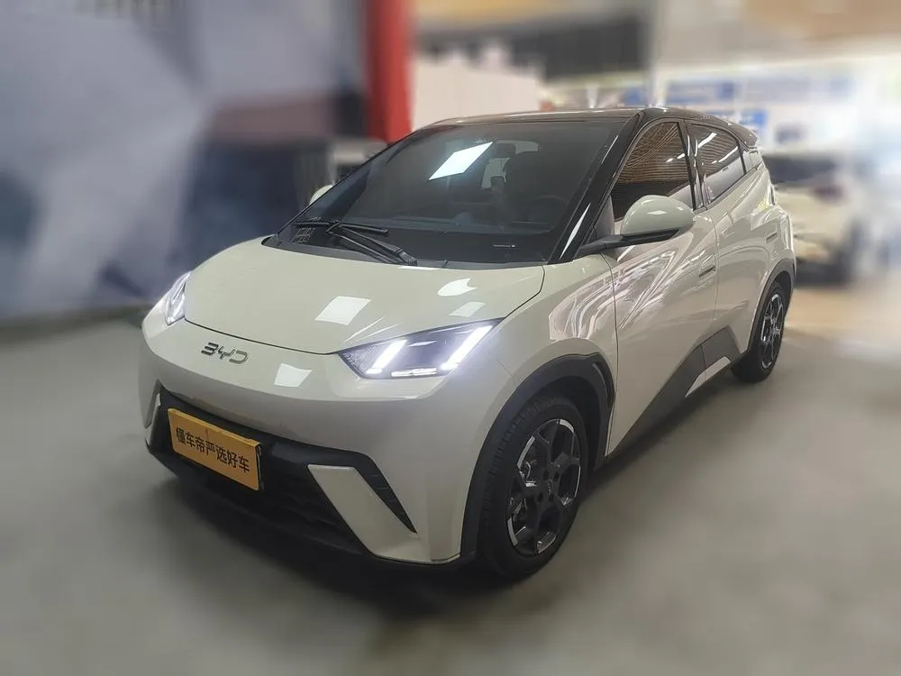 BYD Seagull, 2025