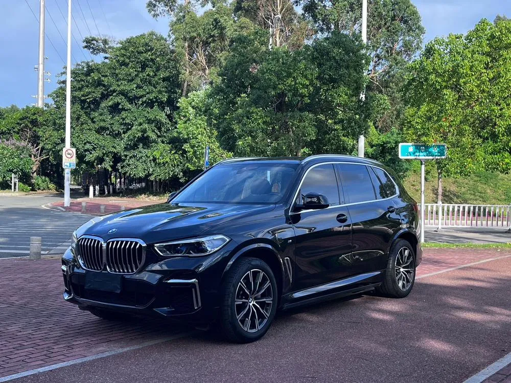 BMW X5 Facelift xDrive 30Li Prestige Version M Sport, 2022 — фото 1