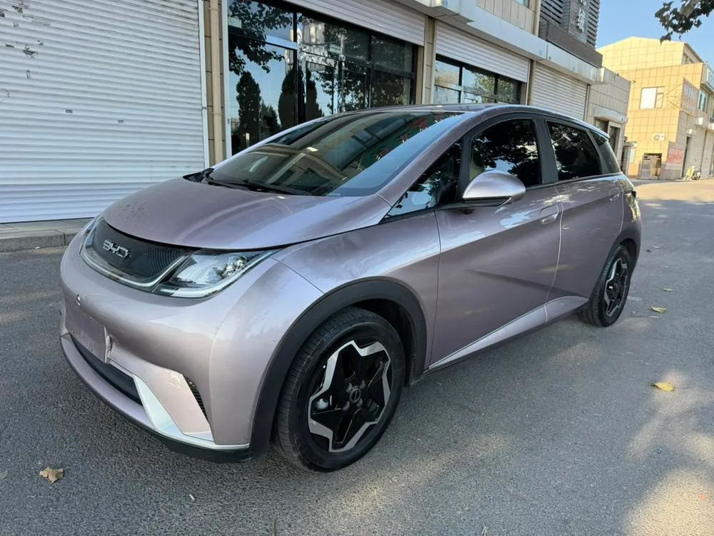 BYD Dolphin, 2021