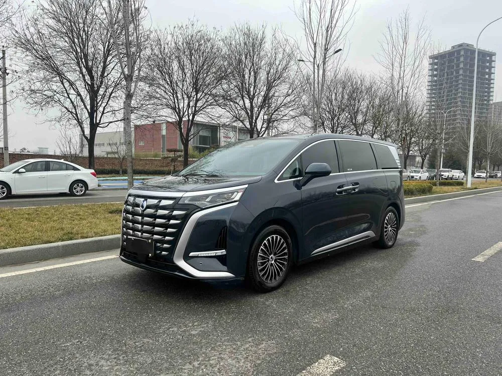 Denza D9 DM, 2022
