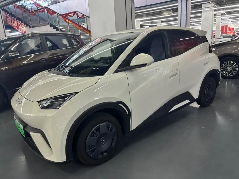 BYD Seagull, 2024