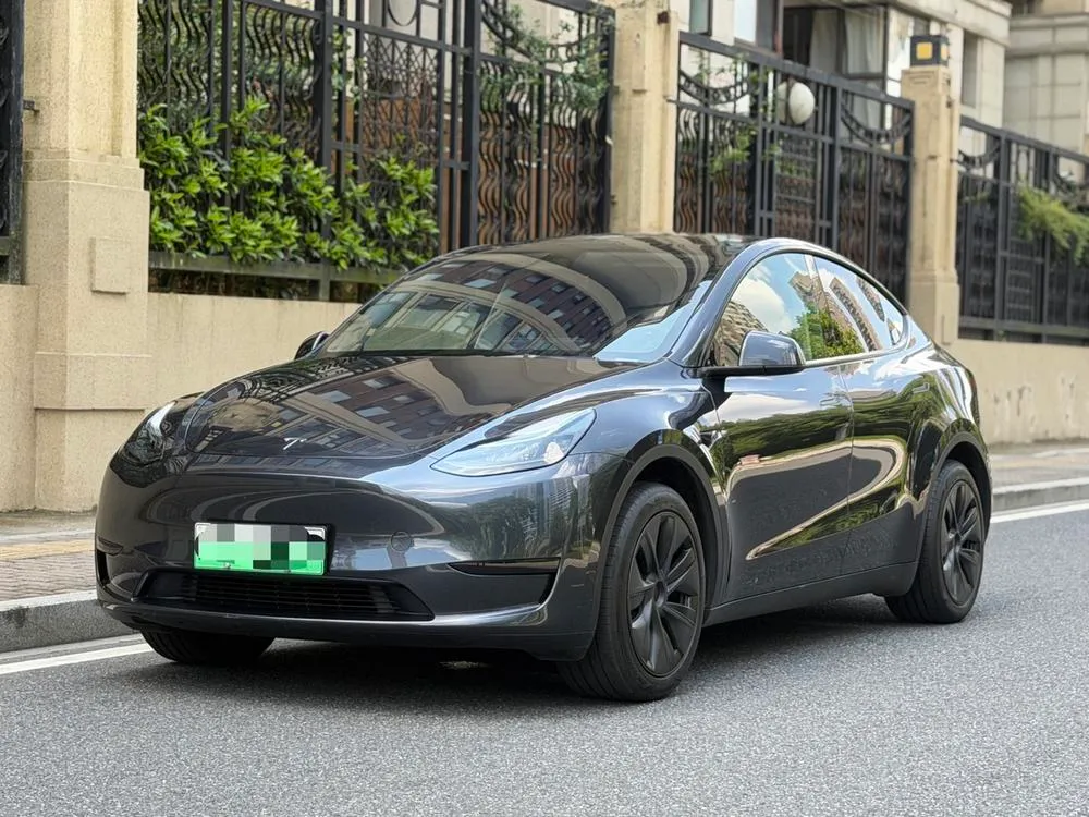 Tesla Model Y, 2024