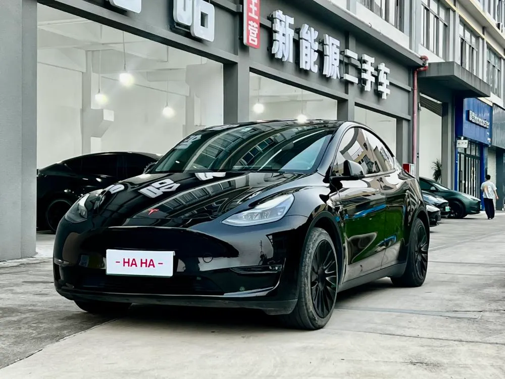 Tesla Model Y Standard Range Edition, 2021 — фото 1