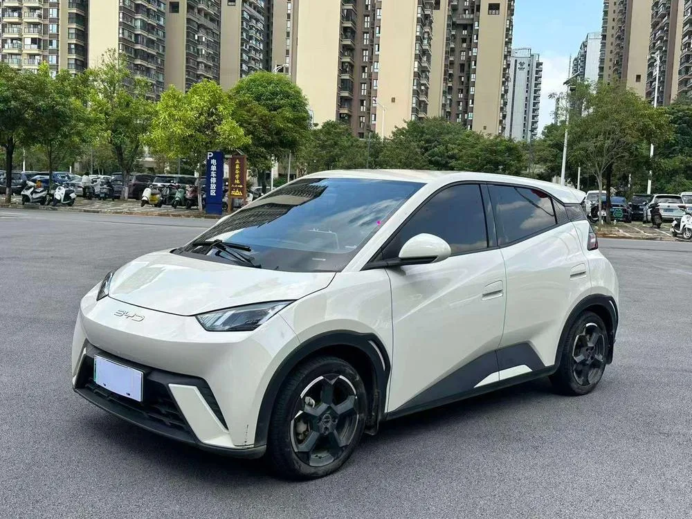 BYD Seagull, 2023