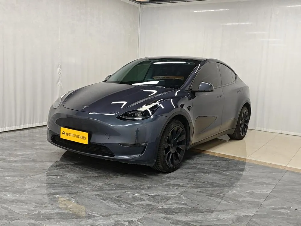 Tesla Model Y Long Range AWD Edition, 2021 — фото 1
