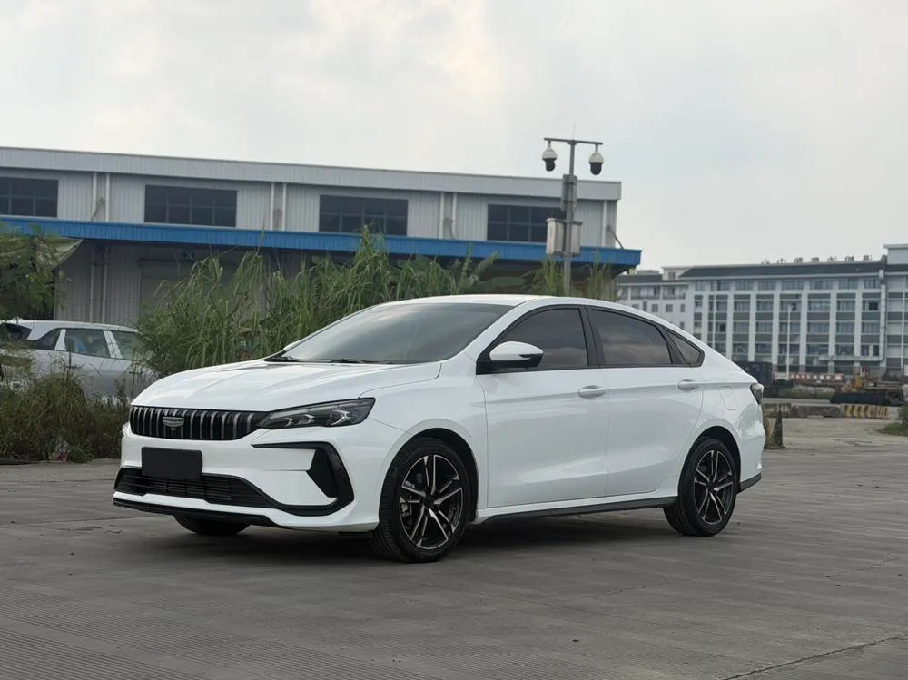 Geely Binrui, 2024