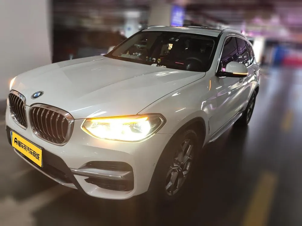 BMW X3 xDrive28i Luxury, 2020 — фото 1