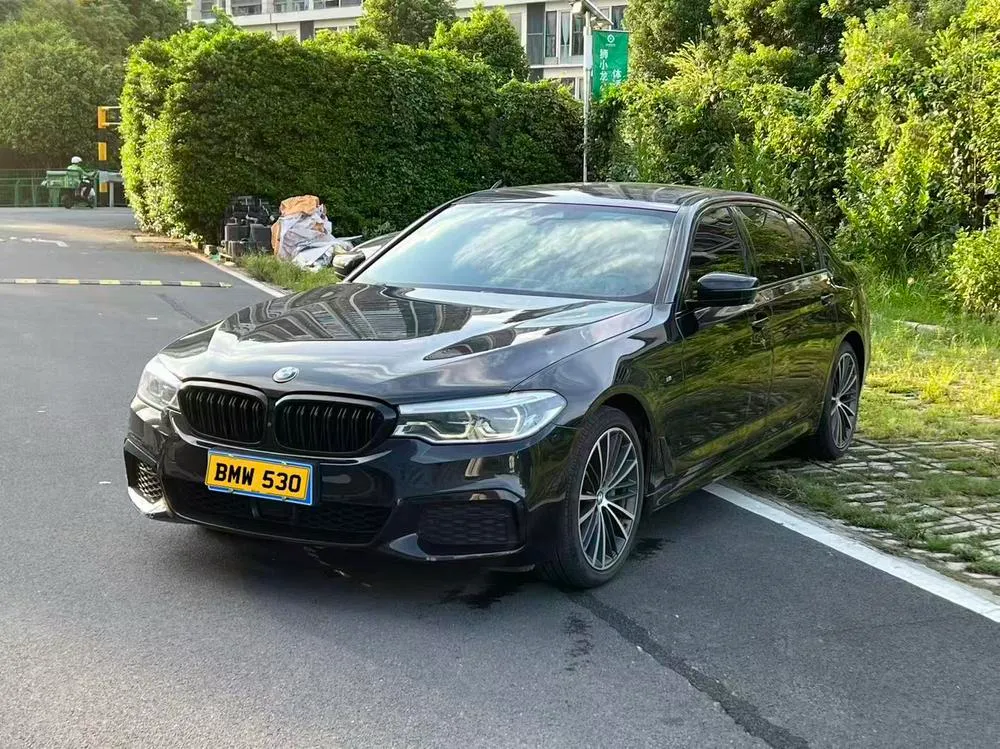 BMW 5-Series, 2020