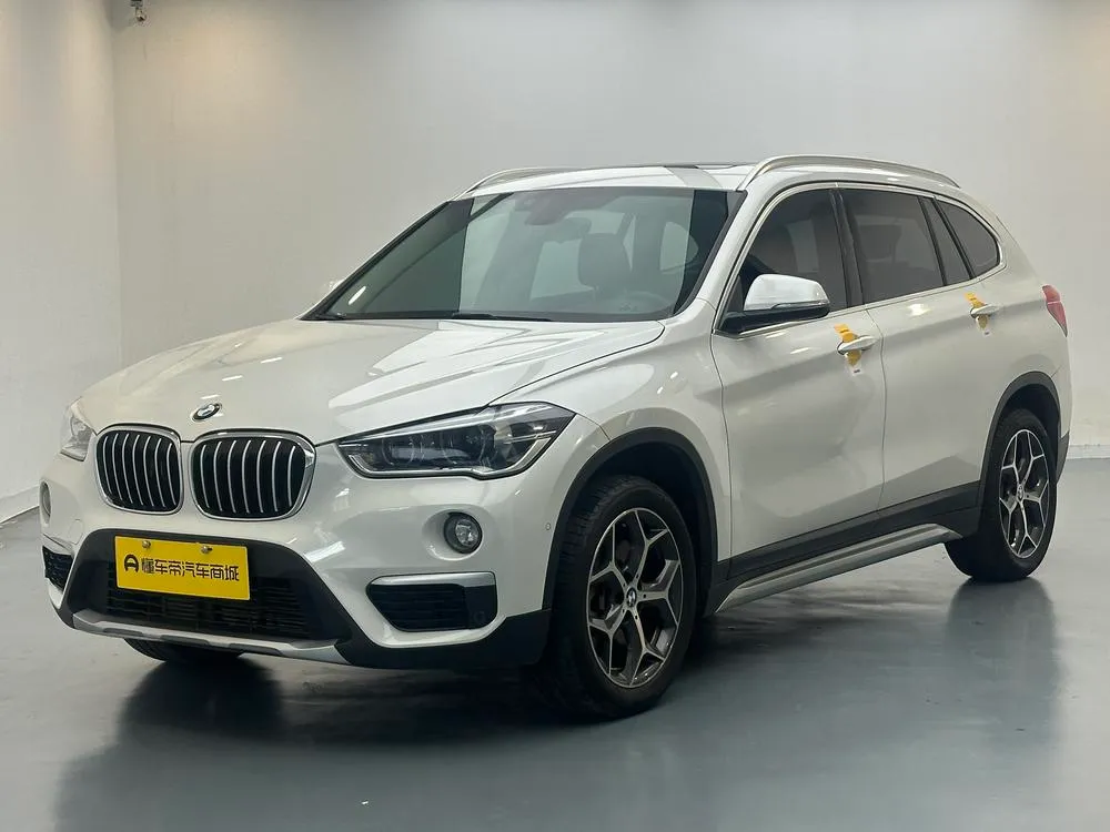 BMW X1 xDrive20Li Luxury Version, 2019 — фото 1