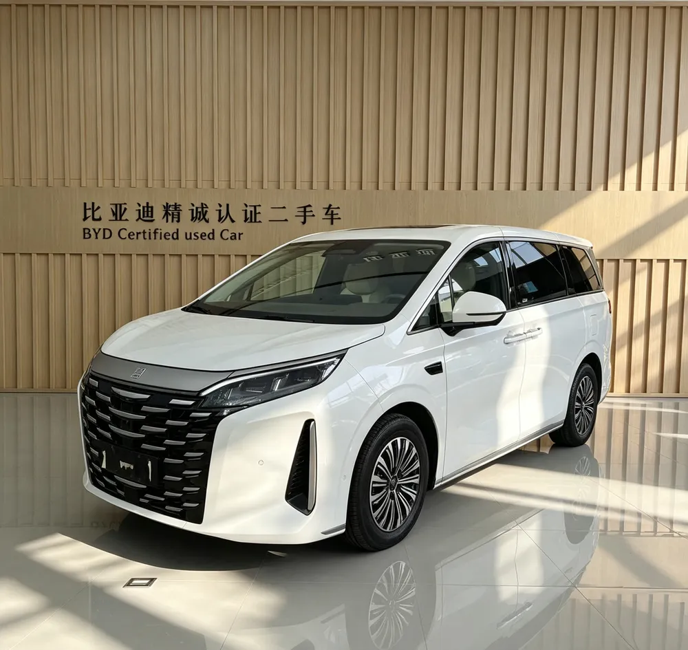 BYD Xia, 2025