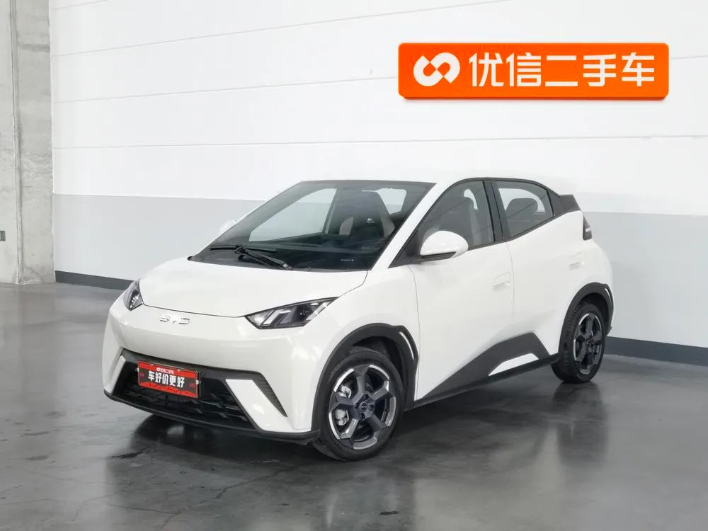 BYD Seagull, 2024
