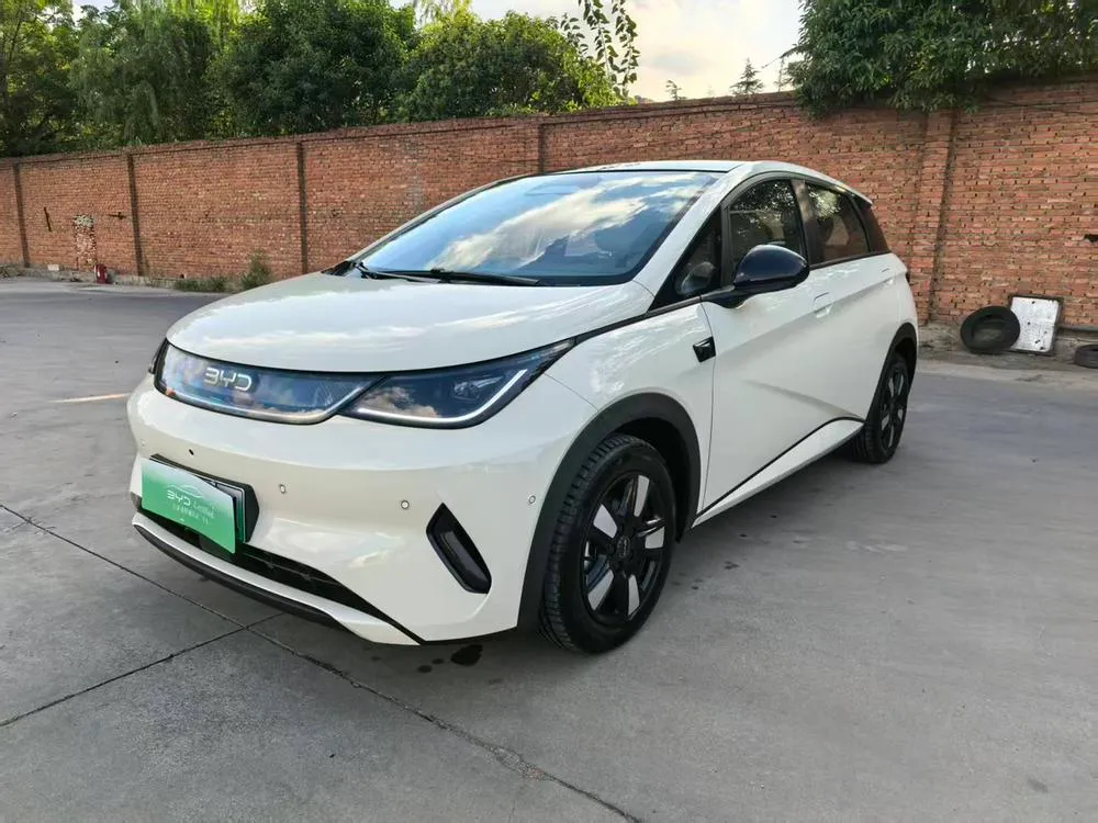 BYD Dolphin, 2025