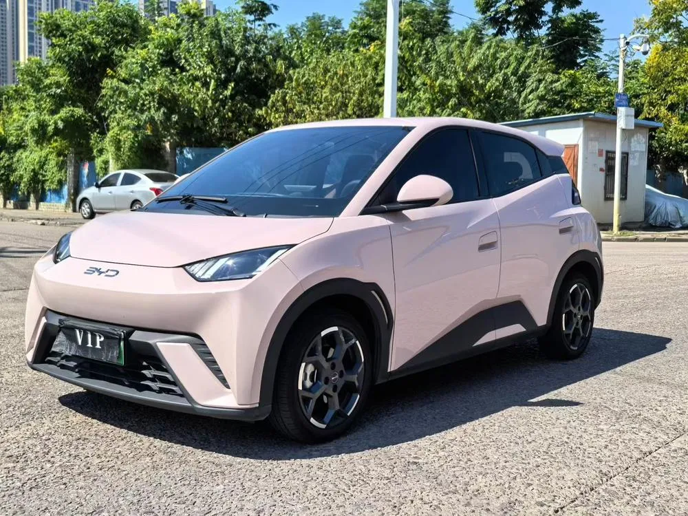 BYD Seagull, 2025
