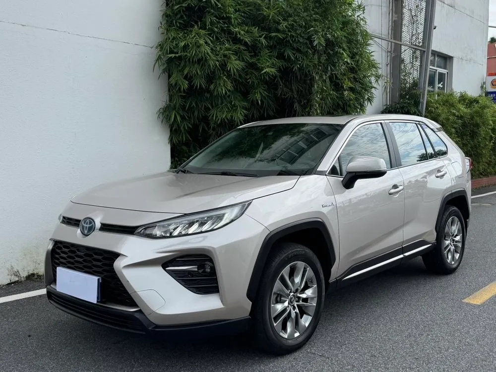 Toyota Wildlander, 2020