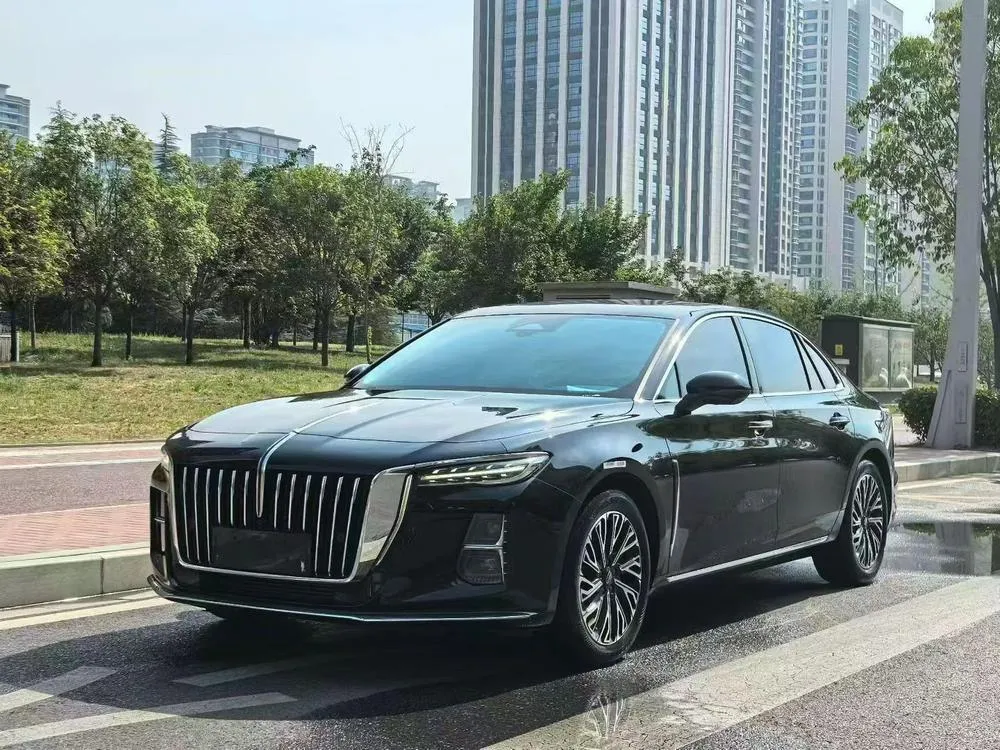 Hongqi H5, 2024