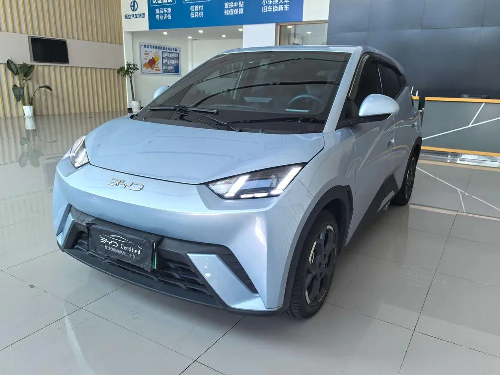 BYD Seagull, 2025