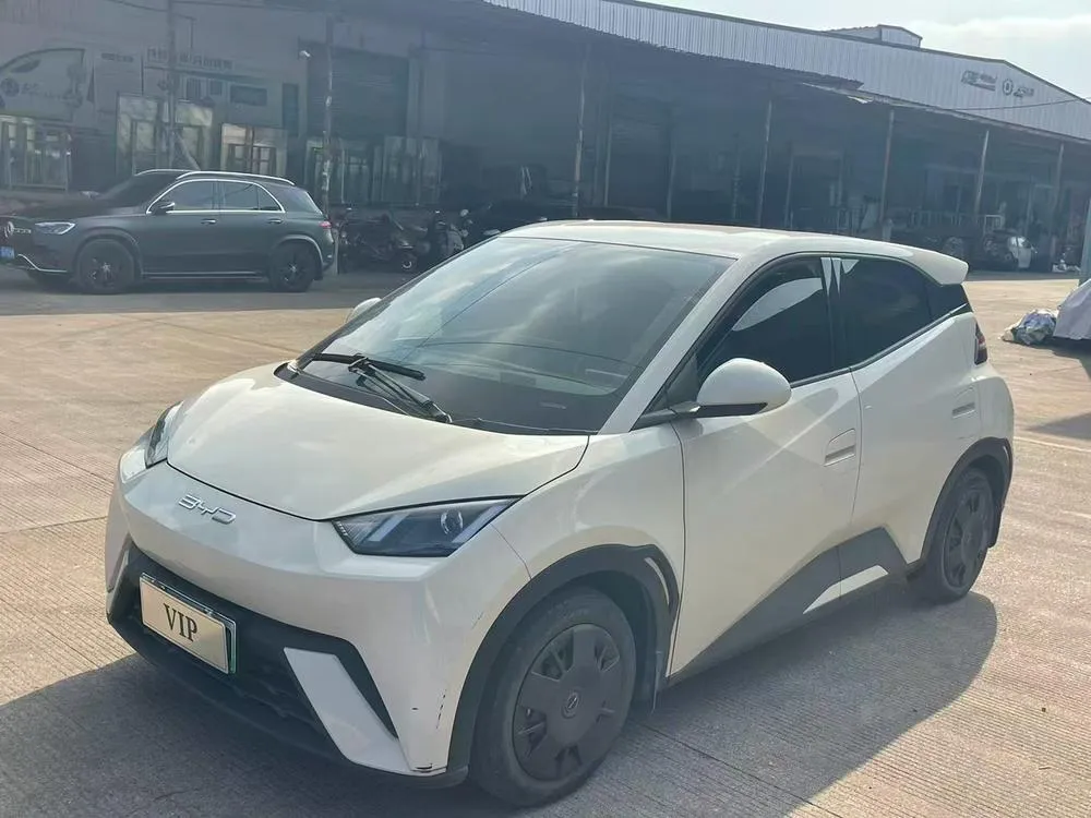 BYD Seagull, 2023