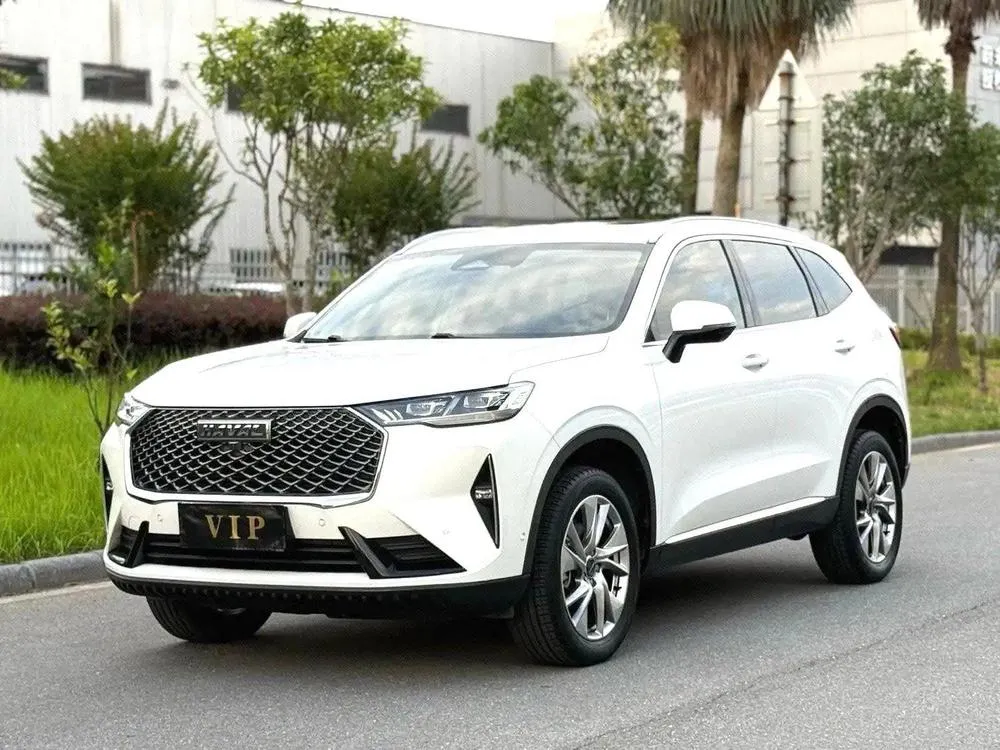 Haval H6, 2021