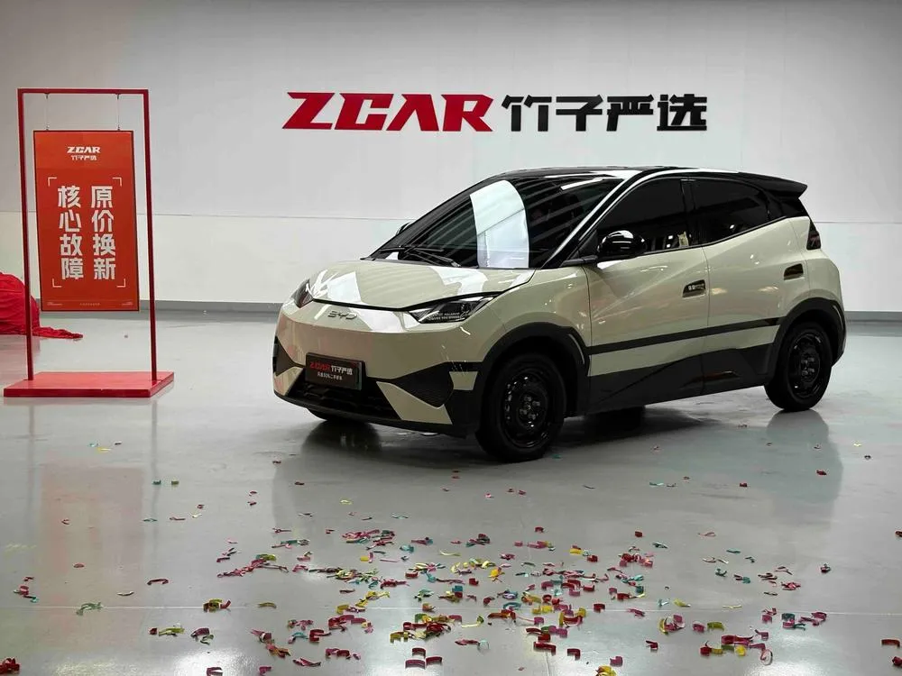 BYD Seagull, 2025