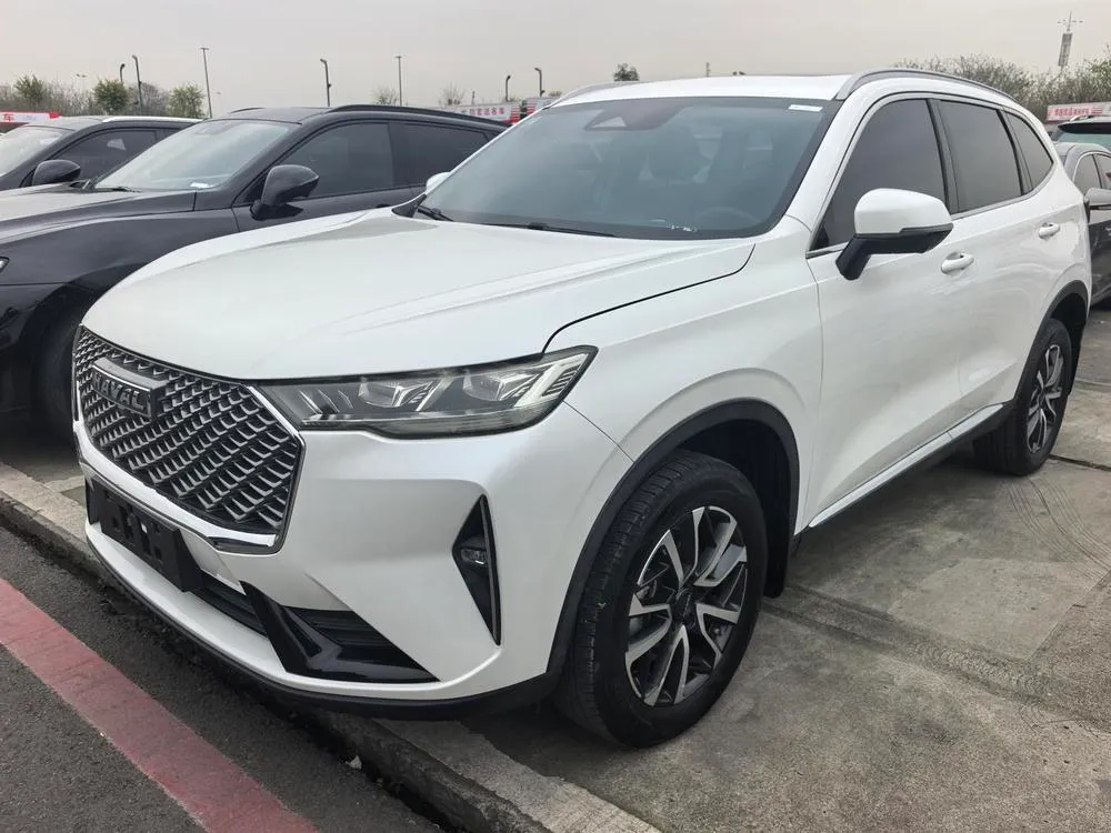 Haval H6, 2021