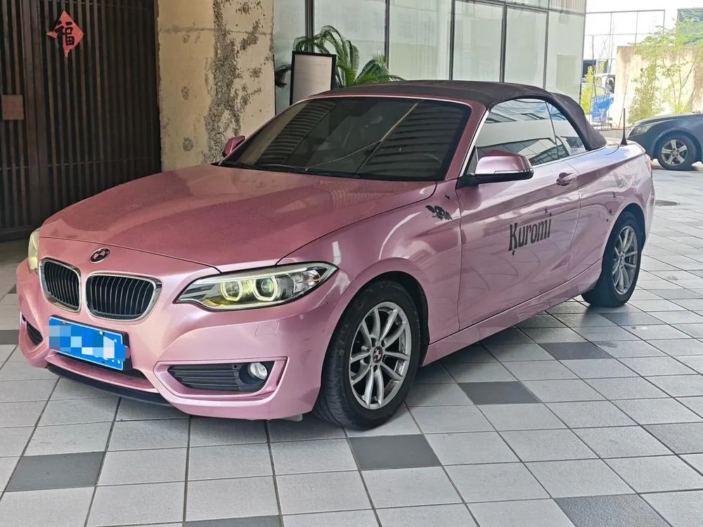 BMW 2-Series (Import), 2015