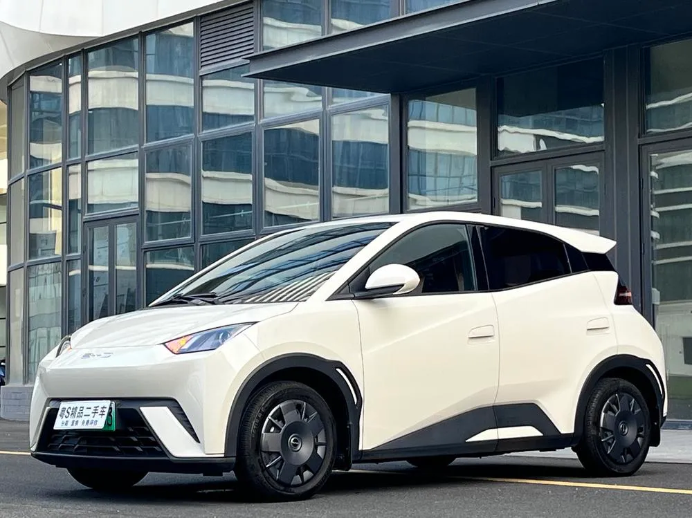BYD Seagull, 2023