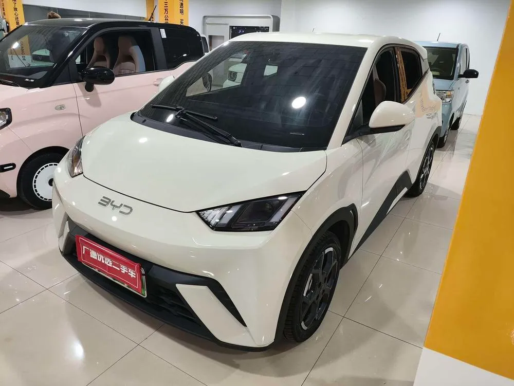 BYD Seagull, 2024