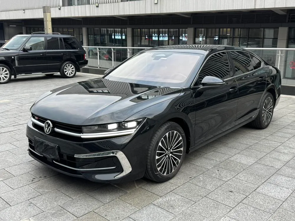 Volkswagen Magotan, 2024