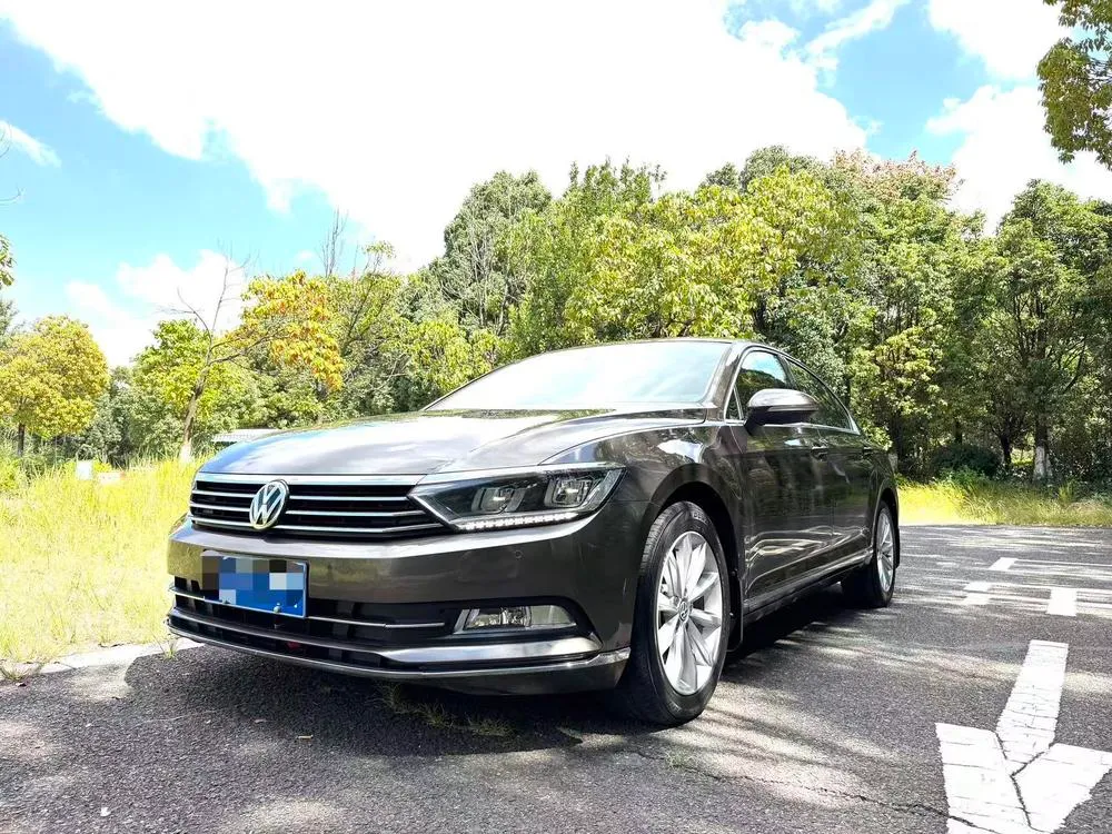 Volkswagen Magotan, 2019