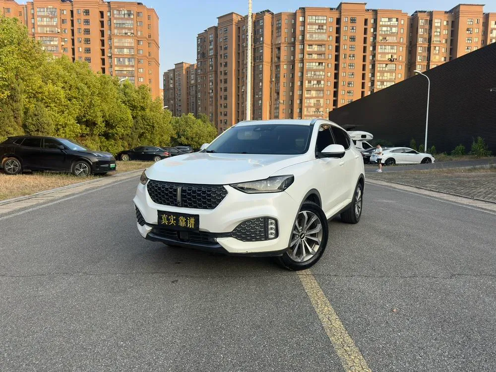 Wey VV6, 2020