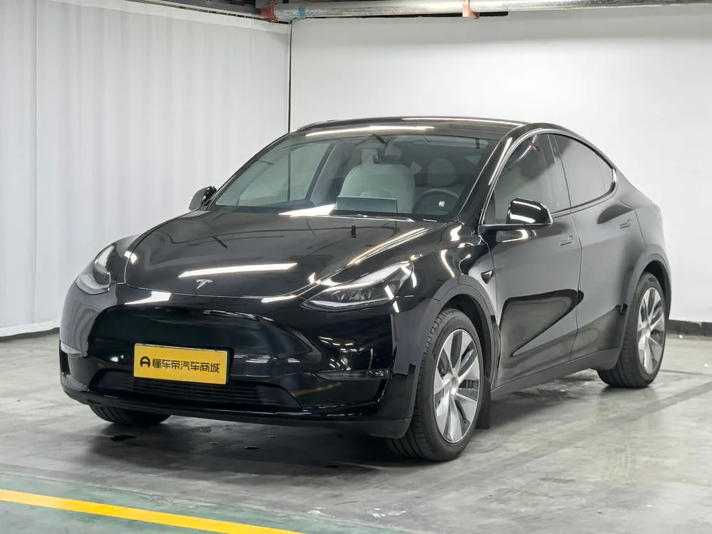 Tesla Model Y Standard Range Edition, 2021 — фото 1